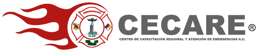 logo cecare